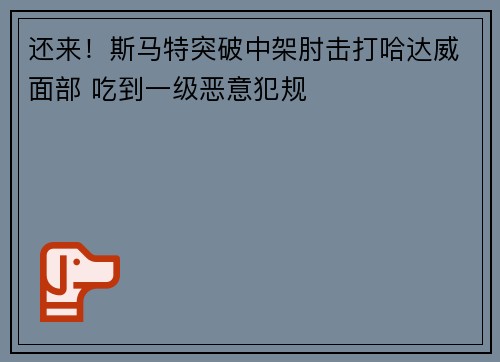 还来！斯马特突破中架肘击打哈达威面部 吃到一级恶意犯规