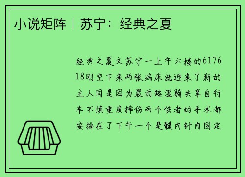 小说矩阵丨苏宁：经典之夏